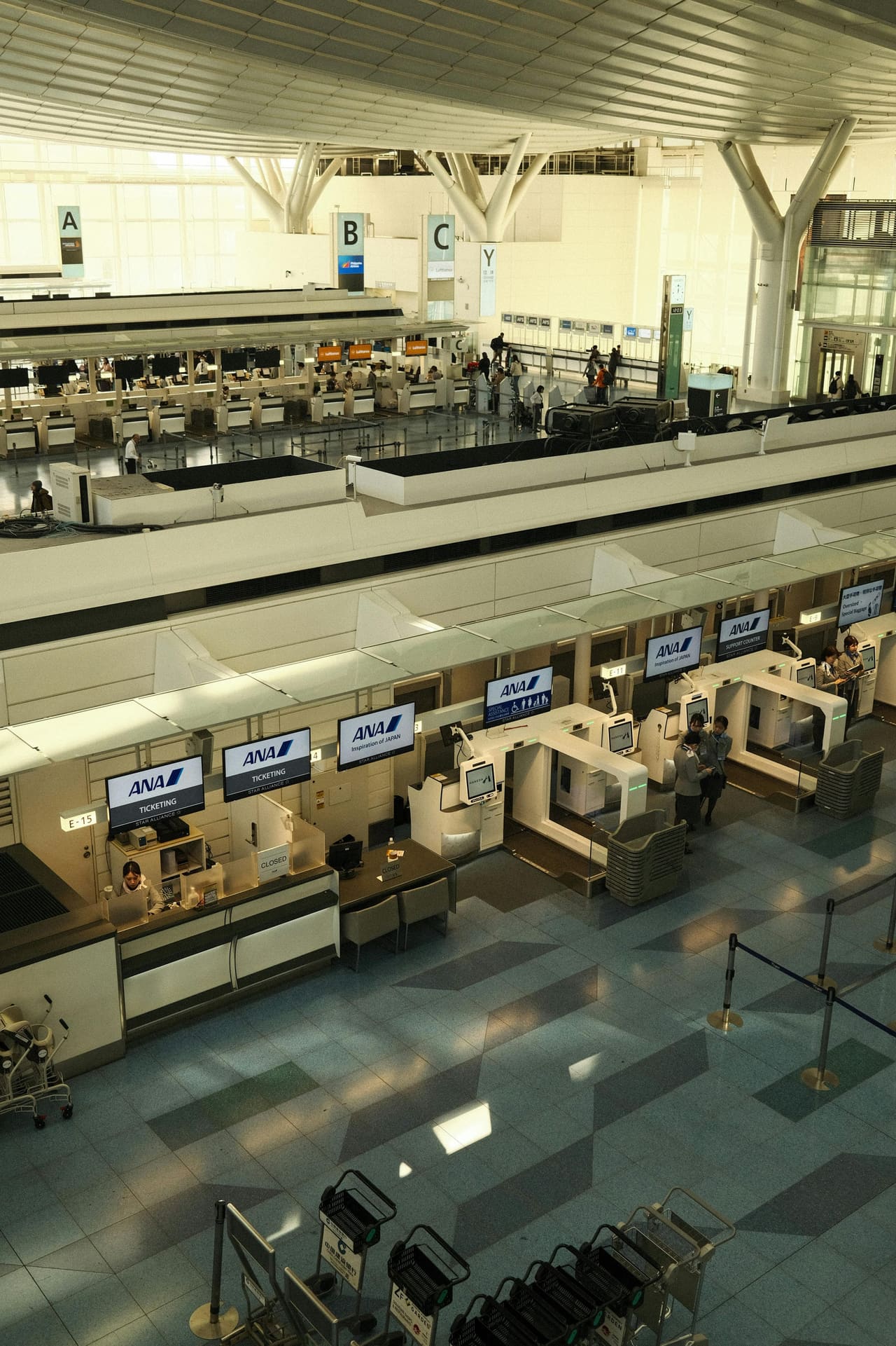 Flight Delayed Into Tokyo? Narita & Haneda Immigration Times and How Your Airport Pickup Adjusts